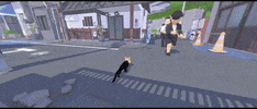 Cat GIF