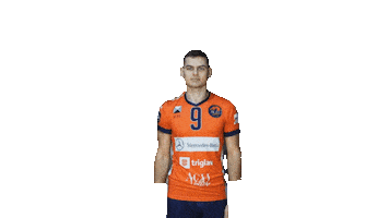 Slovenia Sen Sticker by achvolley