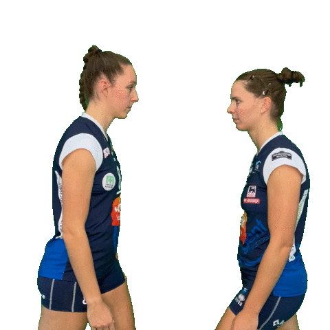 Volleyball Sticker by vdk Gent Damesvolley