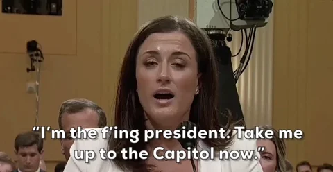 Donald Trump GIF