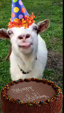 Goat-birthday GIFs - Get the best GIF on GIPHY