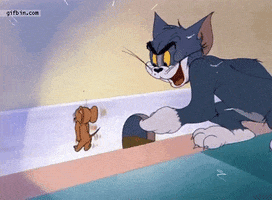 tom and jerry enemies GIF