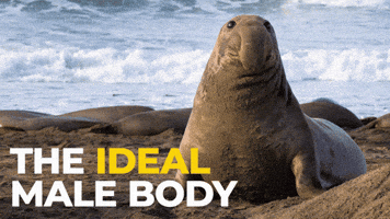 Peak Tuff GIF
