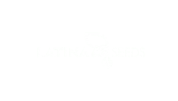 Agro Sorgo Sticker by latinaseeds