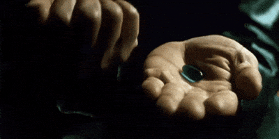 Cat GIF