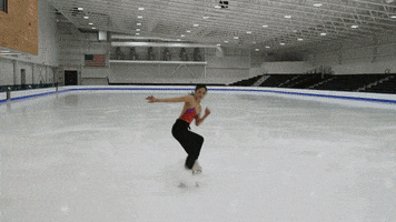 Skating Celebrity Big Brother GIF by Big Brother