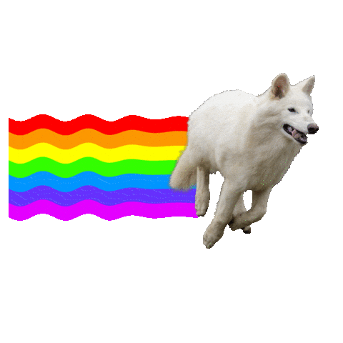 Rainbow Wolf Sticker by Colossal