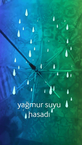 kokopellisehirde rain yagmur rainwater kokopellisehirde GIF