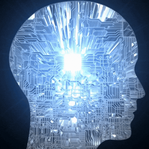 Pillai GIF