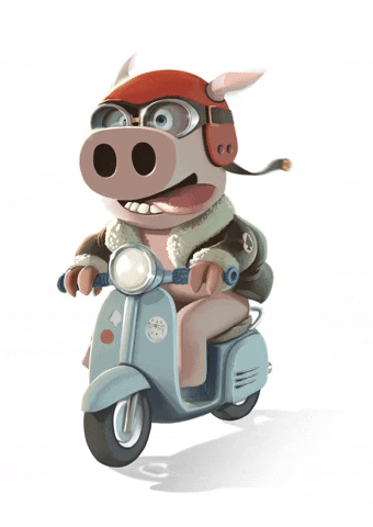 tiagocolacoart cartoon pig moto riding GIF