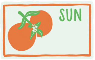 Sunshine State Florida GIF