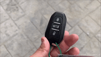 Driving French GIF by Namaste Car