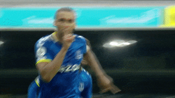 Dcl Utt GIF by Everton Football Club