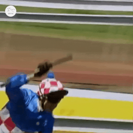 Melbourne Cup Horse Riding GIF by World Horse Racing