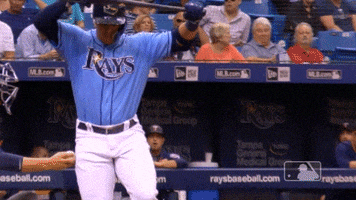 Tampa Bay Rays Bat GIF by MLB