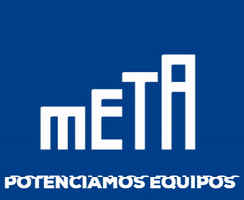 Meta Consultora GIF