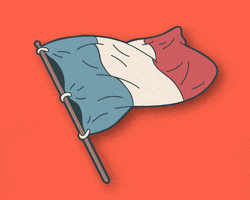 France Flag GIF