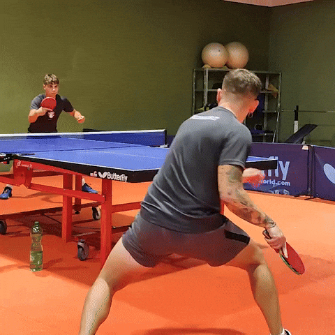 PINGWINGS GIF