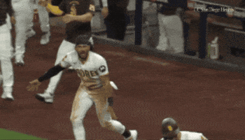 Celebrate Home Run GIF by MLB