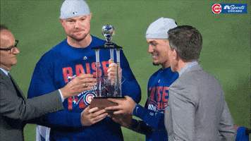 World Series Champions GIF by NBC Sports Chicago