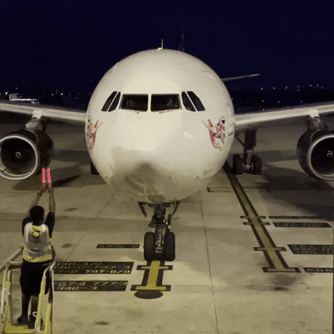 Airbus A330 Airplane GIF