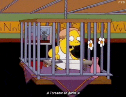 the simpsons laundry GIF