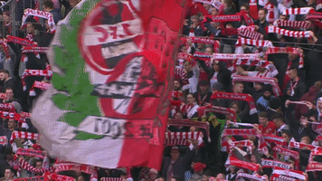 1 fc cologne football GIF by 1. FC Köln