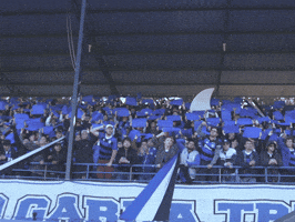 Shark Hai GIF by Clube Atlético Tubarão