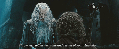 The Lord Of The Rings Pippin GIF