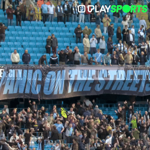 Premier League Football GIF by Play Sports