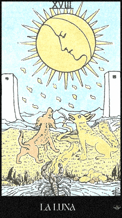 The Moon Intuition GIF by Luna y el Tarot
