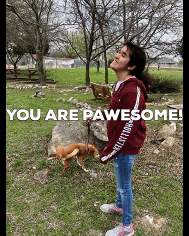 Dogs Volunteers GIF