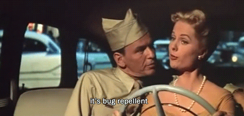 Some-came-running GIFs - Get the best GIF on GIPHY