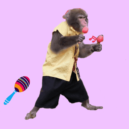 Fun Monkey GIF