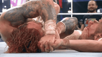 All In Wrestling GIF