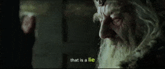 Lotr GIF