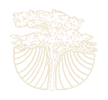 Mata Atlantica Moda Sticker by Pipe Content House