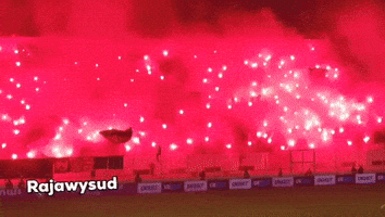 Curvasud GIF