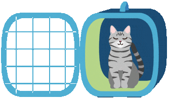 Travel Pet Sticker by Alaska Airlines