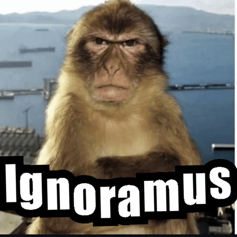 Ignoramus GIF
