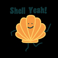 SeaHugger-shells-shell-yeah-sea-hugger-z000P9P90Mo5nfd0Kb