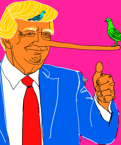 Donald Trump Ok GIF