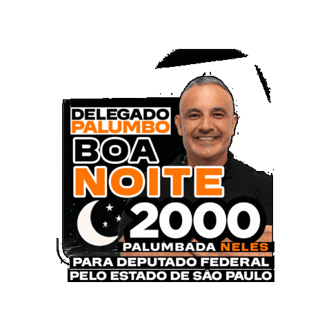 Boa Noite Sticker by Delegado Palumbo