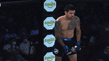 lightsoutxf crazy mma fighting fighter GIF