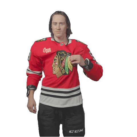Tyler Bertuzzi Chicago Sticker by NHLBlackhawks