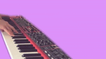 200.gif?cid=fc005b0806fe62a19d0b7a56d65b9fc7c46df6e795e3cde5&rid=200.gif&ct=g