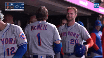 New York Mets Hug GIF by SNY