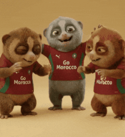 Africa Marruecos GIF
