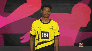 Knock Borussia Dortmund GIF by Bundesliga