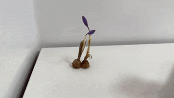 Bealar GIF